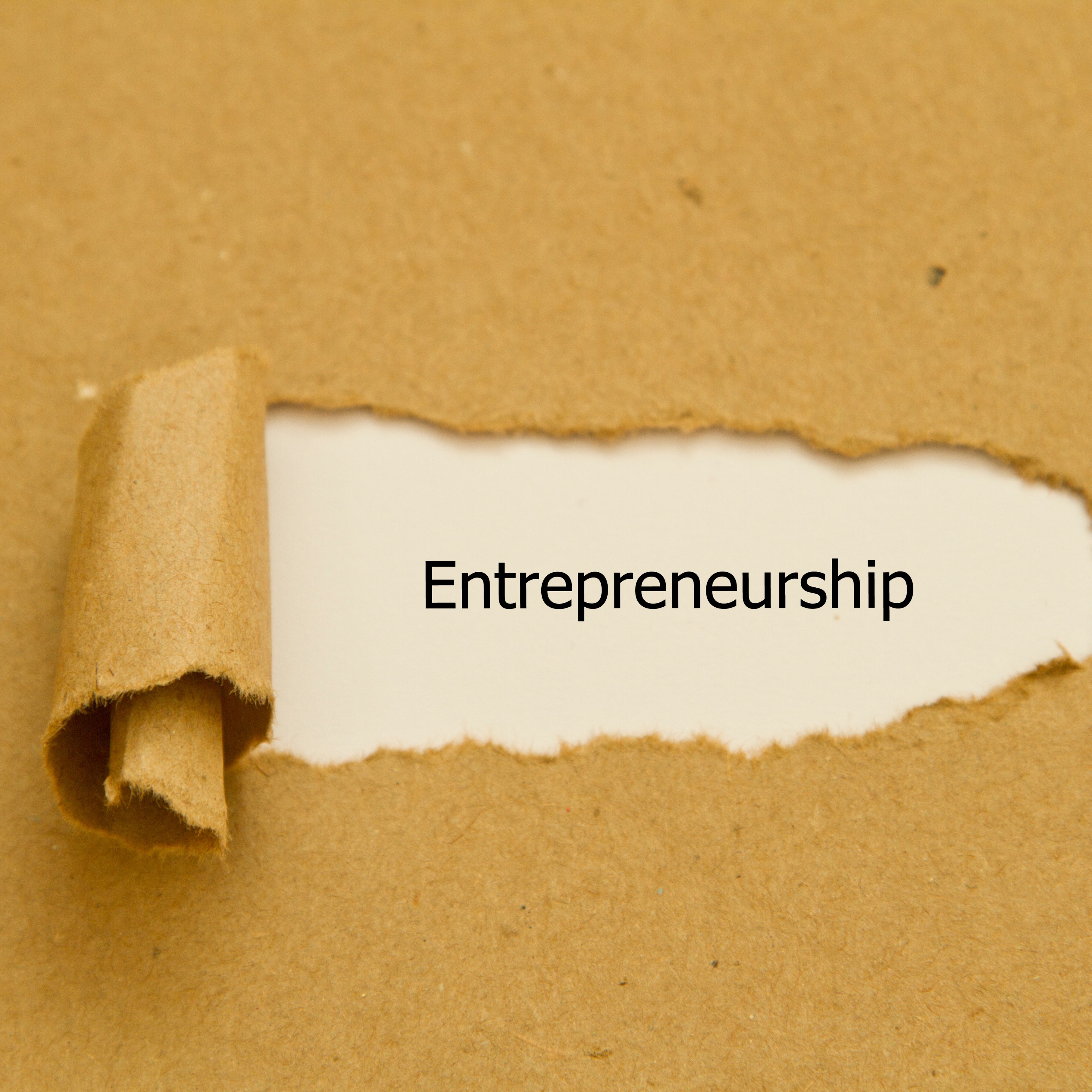 Entrepreneurship